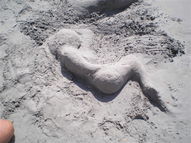 La sirenetta di sabbia formata dalla coccolina!